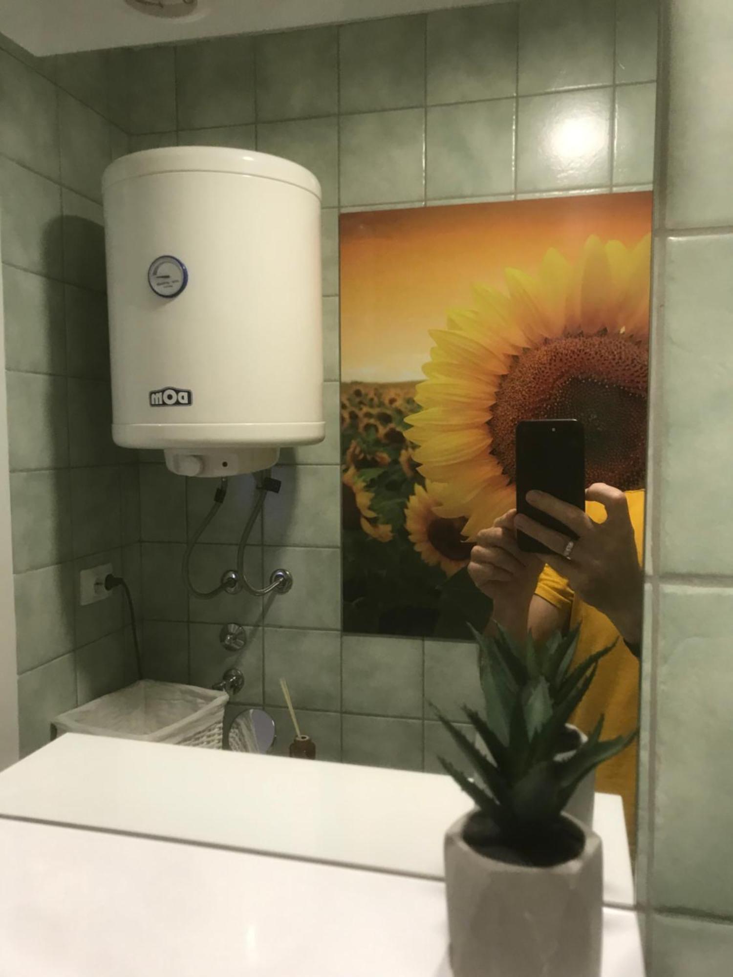 Apartman Kristina Free Parking Novi Sad Dış mekan fotoğraf